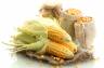 Kukurydza - amerykańskie ziarno opanowało świat