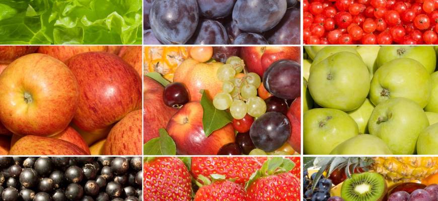 Nieznane dotąd właściwości warzyw i owoców