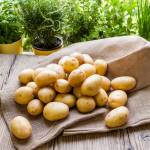 Ziemniaki bogate są w potas, witaminę C, fosfor i beta-karoten.