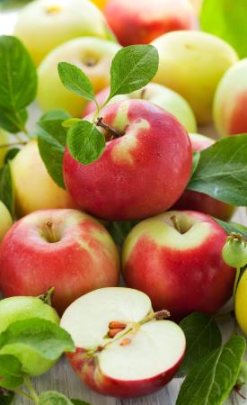 Spożywanie jabłek zmniejsza ryzyko zachorowania na raka trzustki nawet do 23%.