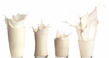 Fakty i mity na temat mleka - czy to prawda, że….