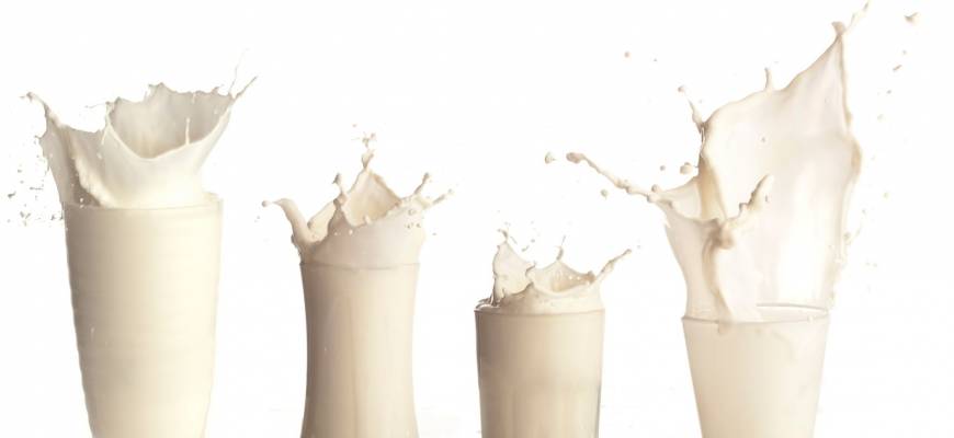 Fakty i mity na temat mleka - czy to prawda, że….