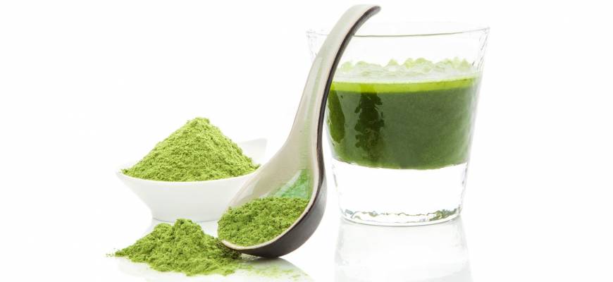 Matcha – japoński przysmak do picia Matcha – japoński przysmak do picia
