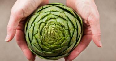 Karczochy – zastosowanie i właściwości lecznicze warzywa wspomagającego wątrobę!