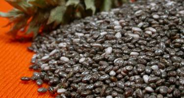 Nasiona Chia – kalorie, zastosowanie i cudowne właściwości pokarmu Azteków