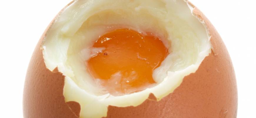 Białko jaja kurzego – skład i właściwości
