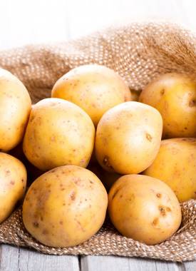Ziemniaki la bonnotte hodowane są w ziemi użyźnianej wodorostami.