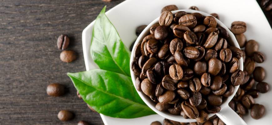 Arabica czy robusta, czyli czym różnią się dwie najpopularniejsze odmiany kawy