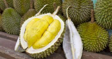 Durian. Właściwości, wartości odżywcze i zastosowanie niezwykłego owocu