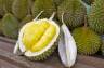 Durian. Właściwości, wartości odżywcze i zastosowanie niezwykłego owocu