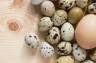 Jajka – naturalne bariery ochrony nowego życia jako fenomen matki natury