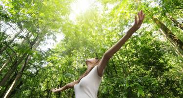 Sylwoterapia – wskazania i przeciwwskazania do terapii leczenia drzewami
