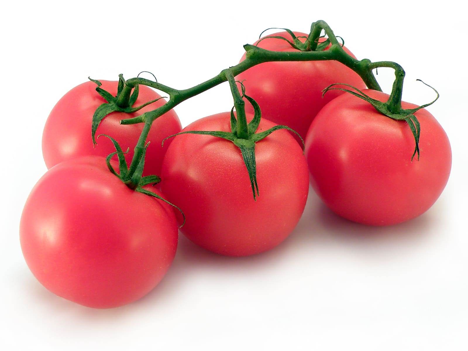 pomidory malinowe wartości odżywcze właściwości