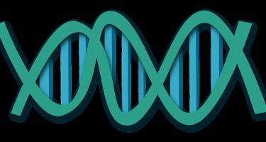 Samolubny gen – czy naszym życiem sterują geny?