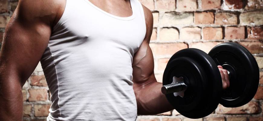 Trening mięśni ramion – budowa i ćwiczenia