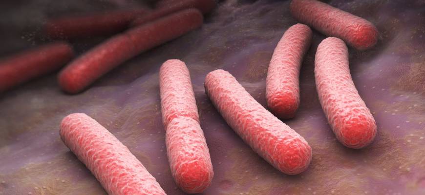 Zakażenie bakterią E. coli – objawy i leczenie Zakażenie bakterią E. coli – objawy i leczenie