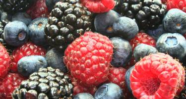 Owoce jagodowe – właściwości i zastosowanie