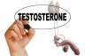 Kwas D-asparaginowy (DAA) a poziom testosteronu