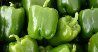 Zielona papryka – właściwości, wartości odżywcze, witaminy i przepis