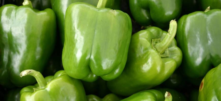 Zielona papryka – właściwości, wartości odżywcze, witaminy i przepis