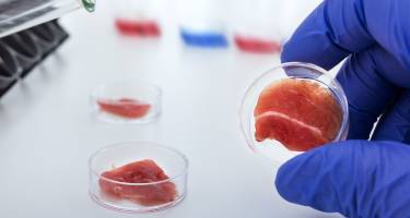 Mięso z probówki, czyli produkcja, wady i zalety mięsa wyhodowanego w laboratorium