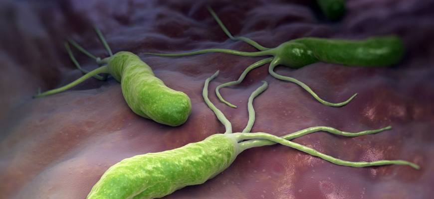 Helicobacter pylori i jej związek z anemią