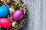 Świąteczna ciekawostka – co kryje białko jajka?