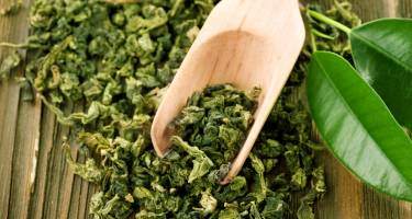 Zielona herbata pomoże osobom chorującym na reumatyzm