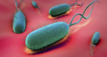 Dieta przy zakażeniu Helicobacter Pylori – produkty zakazane i zalecane