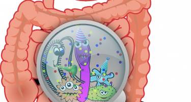 SIBO – zespół rozrostu bakteryjnego jelita cienkiego