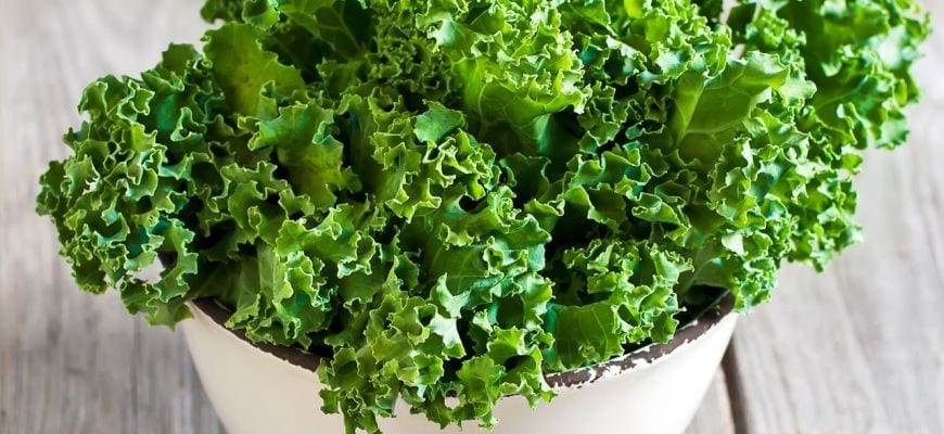 Kalettes – pochodzenie, właściwości i zastosowanie nowego warzywa