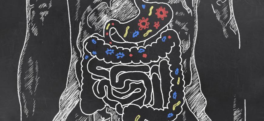 Mikroflora jelitowa – krótki przewodnik po bakteriach zamieszkujących nasze jelito