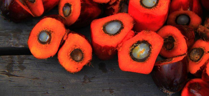 Nierafinowany olej palmowy – właściwości, skład i zastosowanie