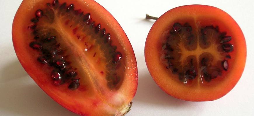 Tamarillo – właściwości, wartości odżywcze i zastosowanie pomidora drzewiastego