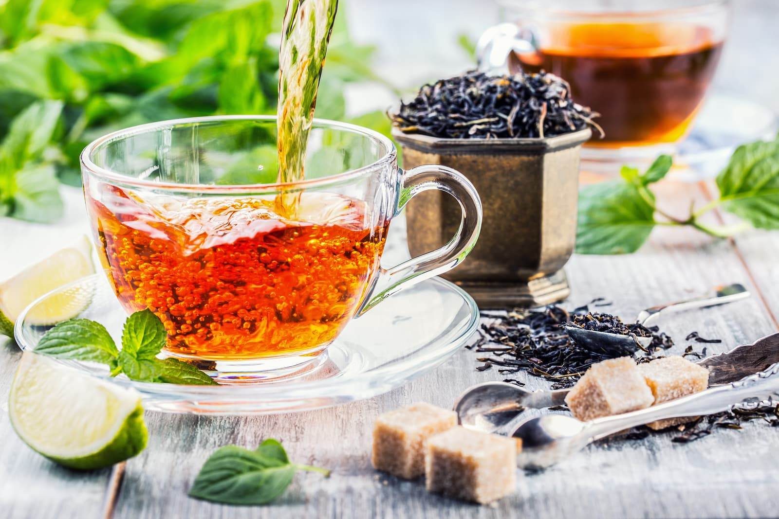 Herbaty ziołowe z czystka konopii mięty pokrzywy