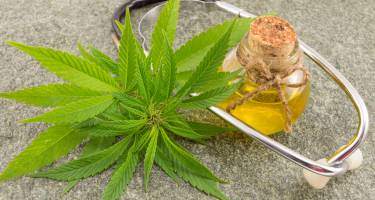 Medyczna marihuana – właściwości, wpływ na leczenie