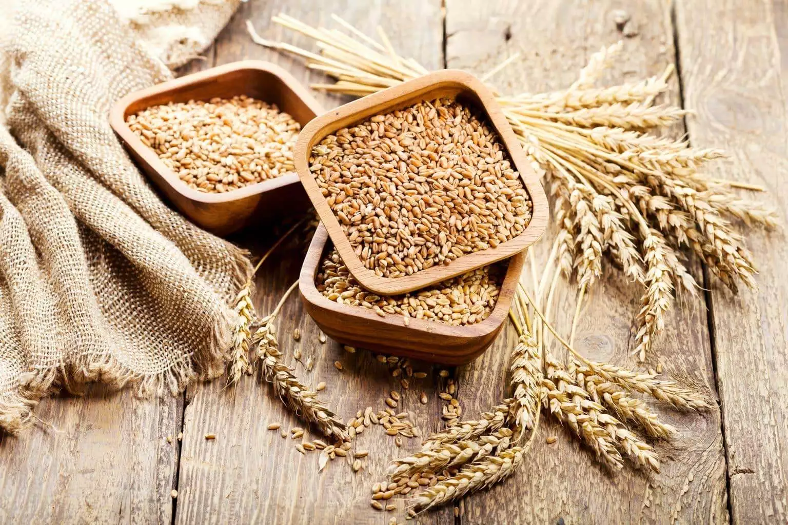 Co to jest gluten, produkty bezglutenowe, celiakia, alergia na gluten