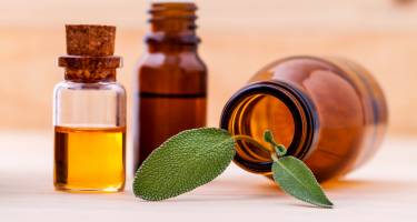 Szałwia – właściwości, olejek szałwiowy, właściwości lecznicze