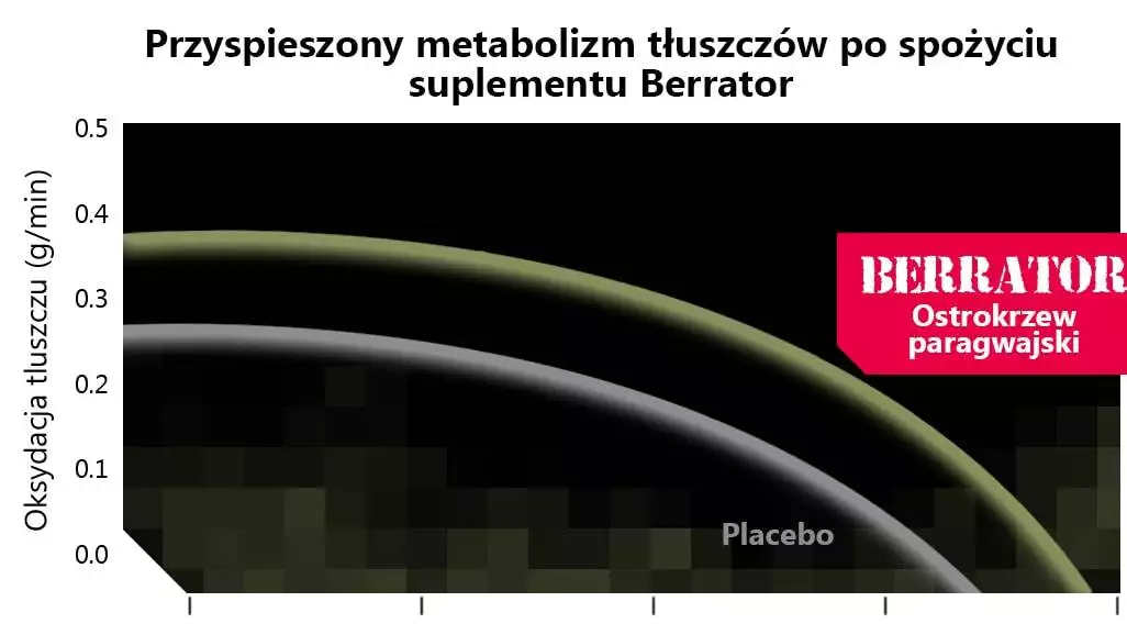 berrator spalacz tłuszczu