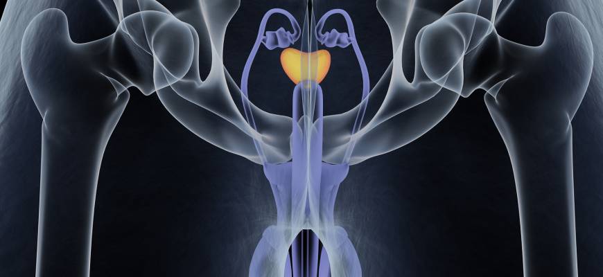 Rak prostaty – objawy, leczenie naturalne. Dieta przy raku prostaty