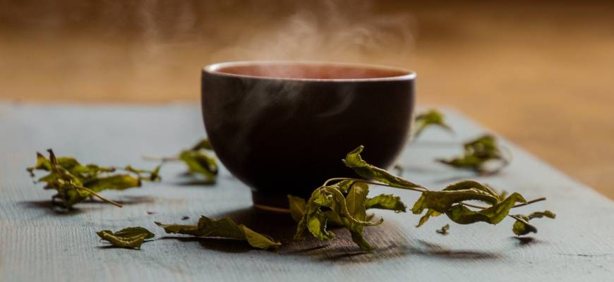 Zielona herbata – właściwości, wpływ na odchudzanie. Jak parzyć zieloną herbatę?