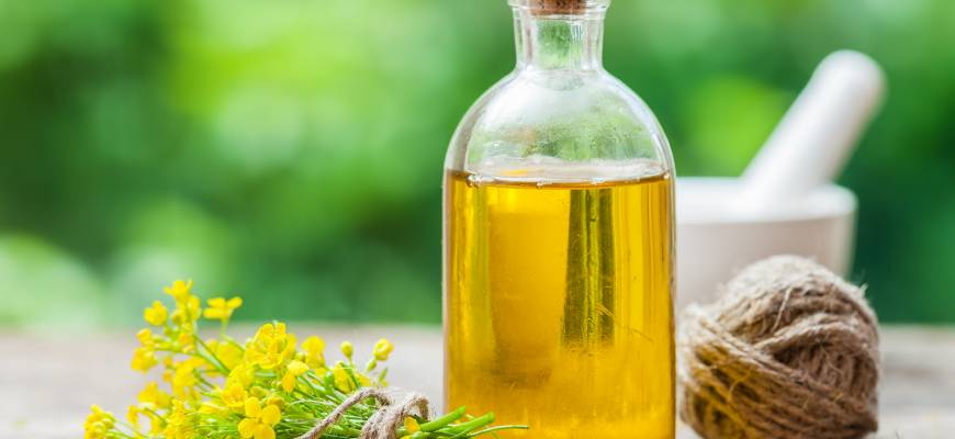 Olej rzepakowy – rafinowany i nierafinowany, skład, właściwości. Czy olej rzepakowy jest zdrowy?
