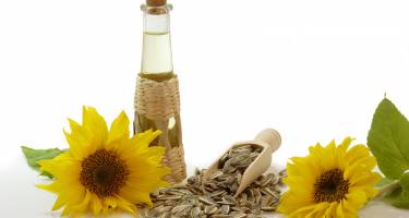 Olej słonecznikowy – właściwości. Ssanie oleju słonecznikowego – efekty i skutki uboczne