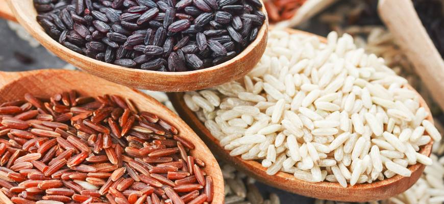 Ryż – biały, czerwony, czarny, dziki. Który ryż jest najzdrowszy? Przepisy na dania z ryżem