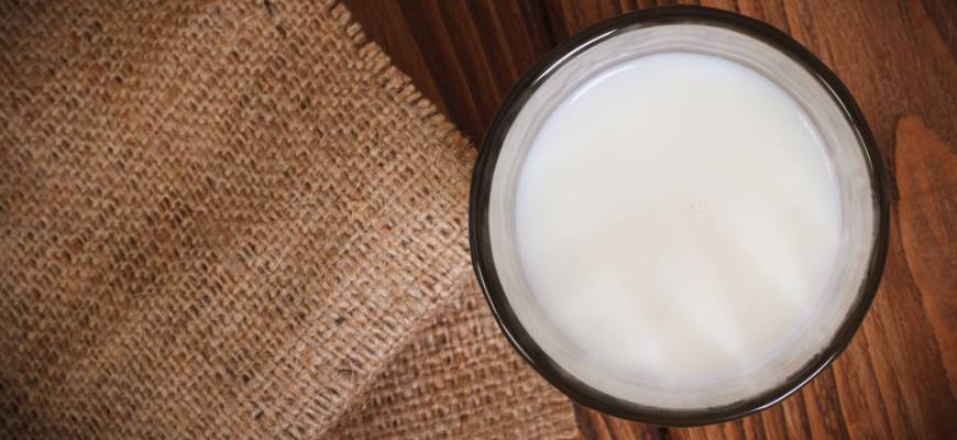 Mleko owsiane – właściwości. Jak zrobić mleko owsiane?