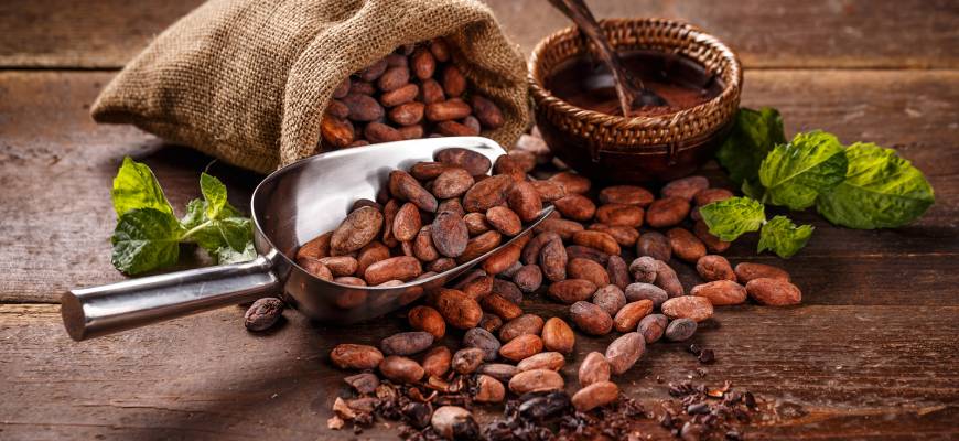 Prawdziwe kakao – właściwości. Kakao z mlekiem i wodą. Jakie kakao wybrać?