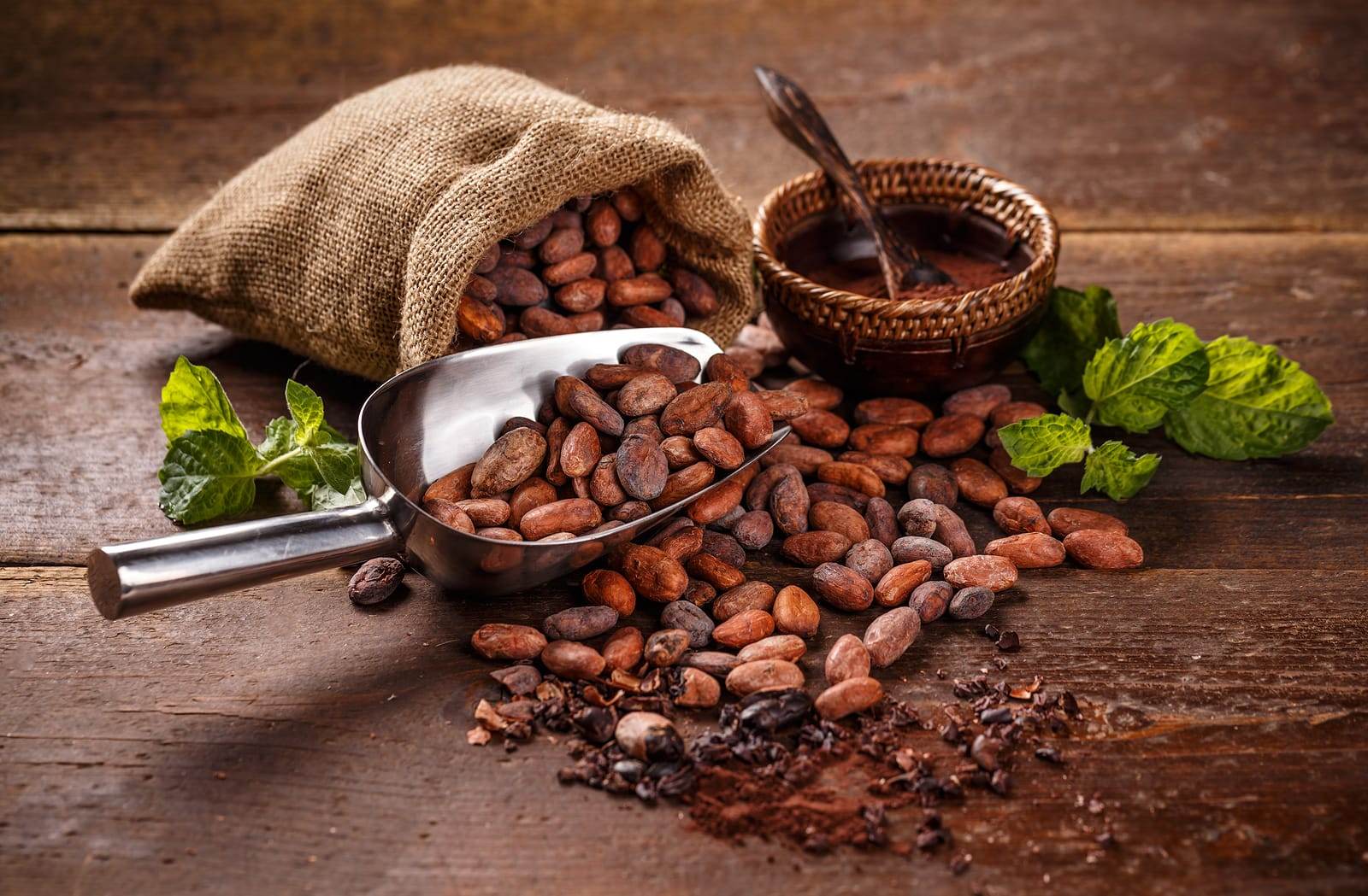 surowe kakao prawdziwe kakao właściwości przepisy