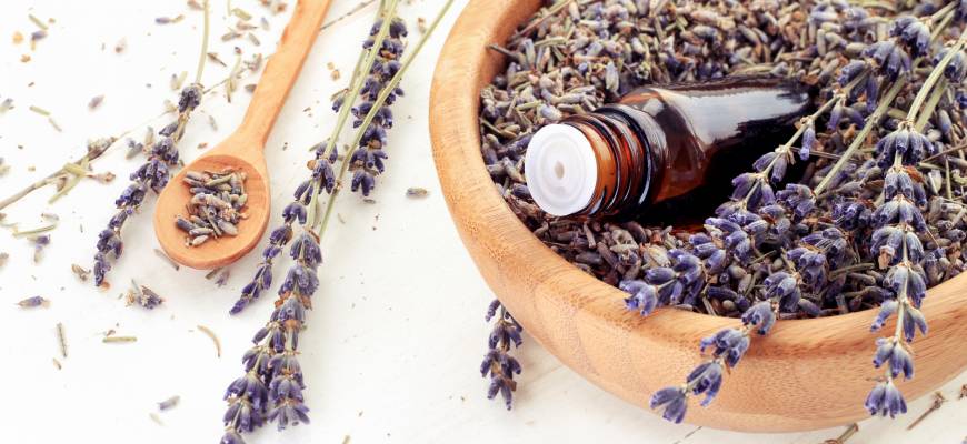 Lawenda lekarska – olejek, herbata, nalewka i syrop z lawendy