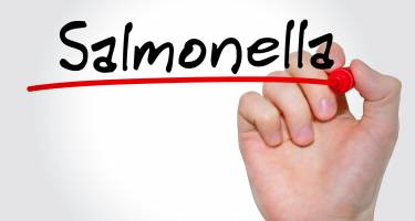Salmonella u dzieci – objawy, leczenie.