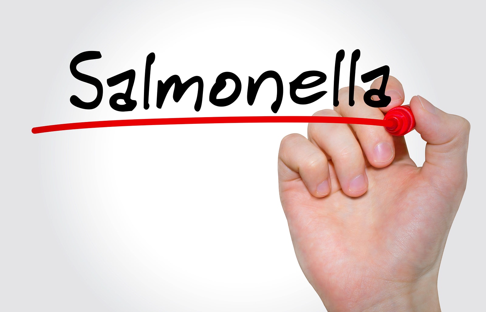 salmonella leczenie objawy